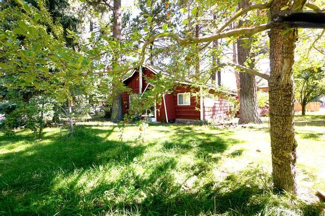 Green Cabin In Big Bear Lake 3 Bdr Pets Friendly บิ๊กแบร์ซิตี้ ภายนอก รูปภาพ